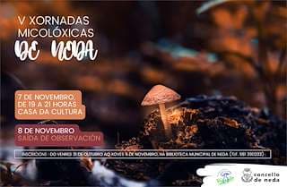 Cartel de V Xornadas Micolóxicas